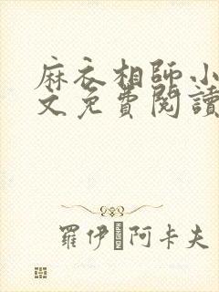 麻衣相师小说全文免费阅读封面