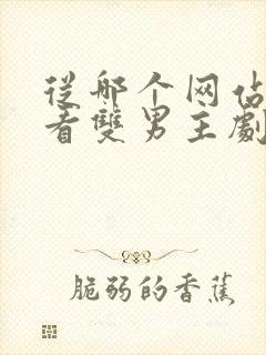 从哪个网站可以看双男主剧