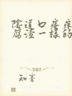 阴道口瘙痒有豆腐渣一样的东西