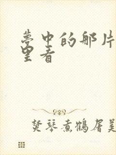 梦中的那片海哪里看