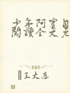 少年阿宾目录线阅读全文免费阅读封面