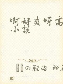 啊好爽呀高潮了小说