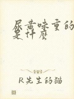 尿黄味重的原因是什么