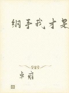 纲手我才是火影