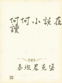 何何小说在线阅读