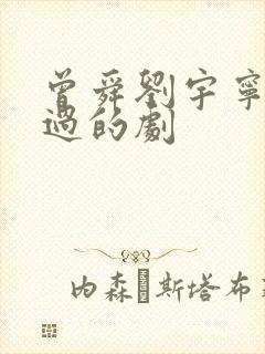 曾舜刘宇宁合作过的剧