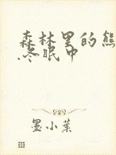 森林里的熊先生.冬眠中