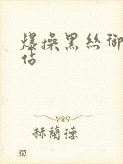 爆操黑丝御姐网站