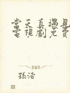 当天真遇见爱情电视剧免费封面