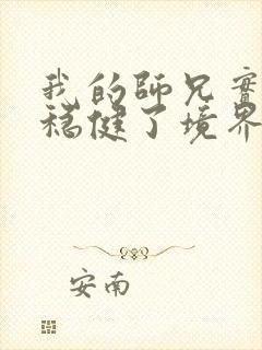 我的师兄实在太稳健了境界