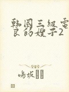 韩国三级电影善良的嫂子2封面