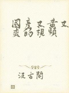 国产又黄又色又爽的视频