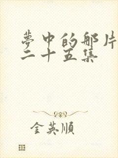 梦中的那片海第二十五集封面