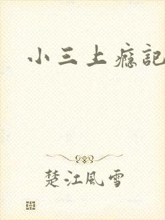 小三上瘾记