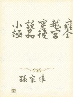 小说穿越雍正之极品后宫全文阅读封面