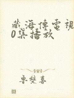 藏海传电视剧40集播放