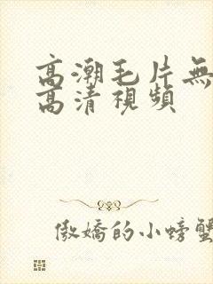 高潮毛片无遮挡高清视频封面