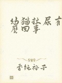 幼猫拉尿有血怎么回事