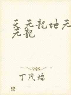 天元龙地元龙人元龙封面