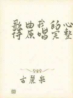 歌曲我的心在等待原唱完整版的封面