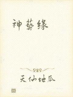 神艺缘封面