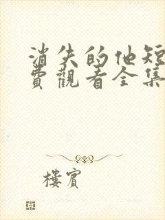 消失的他短剧免费观看全集