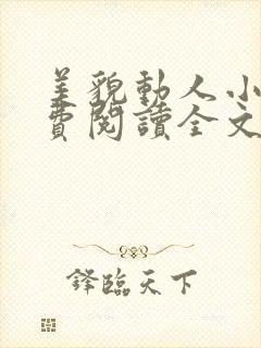 美貌动人小说免费阅读全文