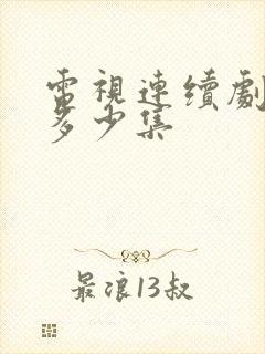 电视连续剧老舅多少集