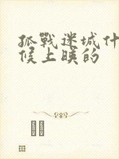 孤战迷城什么时候上映的