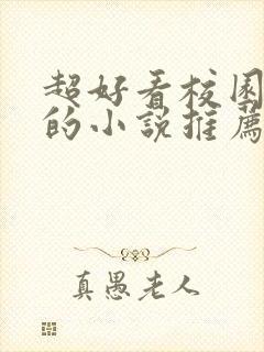 超好看校园言情的小说推荐封面