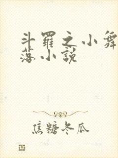斗罗之小舞的堕落小说封面