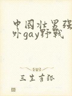 中国壮男强迫野外gay野战
