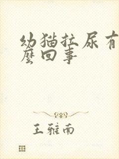 幼猫拉尿有血怎么回事