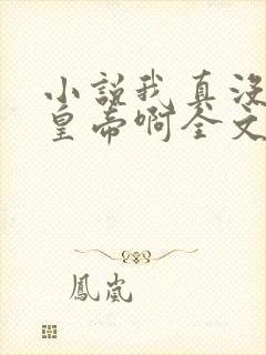 小说我真没想当皇帝啊全文封面