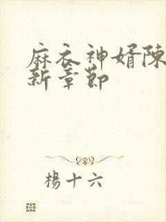 麻衣神婿陈黄皮新章节