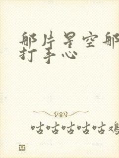 那片星空那片海打手心