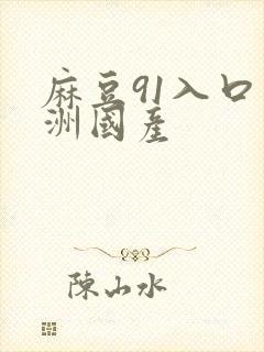 麻豆91入口亚洲国产封面