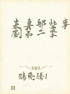 夫妻那些事电视剧第二季封面