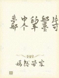 梦中的那片海在哪个平台可以看