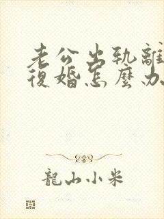 老公出轨离婚要复婚怎么办封面