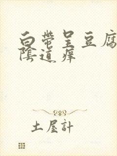 白带呈豆腐渣状阴道痒封面