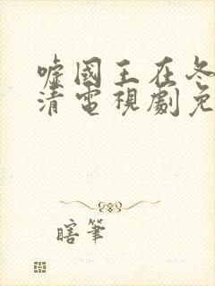 嘘国王在冬眠高清电视剧免费播放