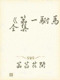 《第一驸马爷》全集