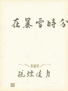 在暴雪时分完整