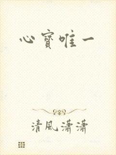 心宝唯一