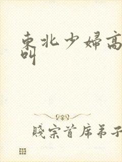 东北少妇高潮大叫