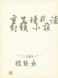 重生后我渣了死对头 小说封面