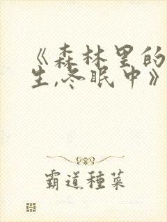 《森林里的熊先生,冬眠中》