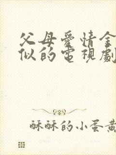 父母爱情金婚类似的电视剧封面