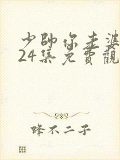 少帅你老婆又跑24集免费观看